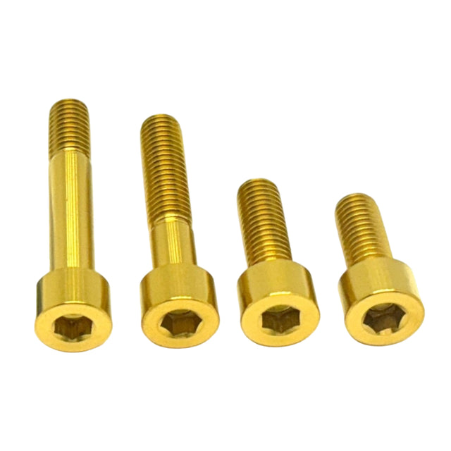 Titanium Motor Bolts - Surron LBX