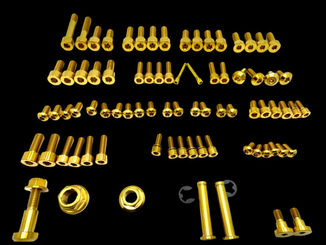 Titanium Full Body Kit - E Ride Pro SS 3.0