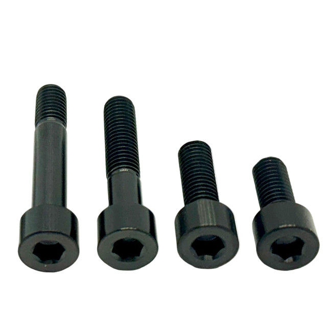 Titanium Motor Bolts - Surron LBX